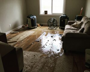 How long does it take to dry out water-damaged areas