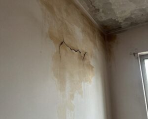 What are the signs of hidden water damage in walls or ceilings